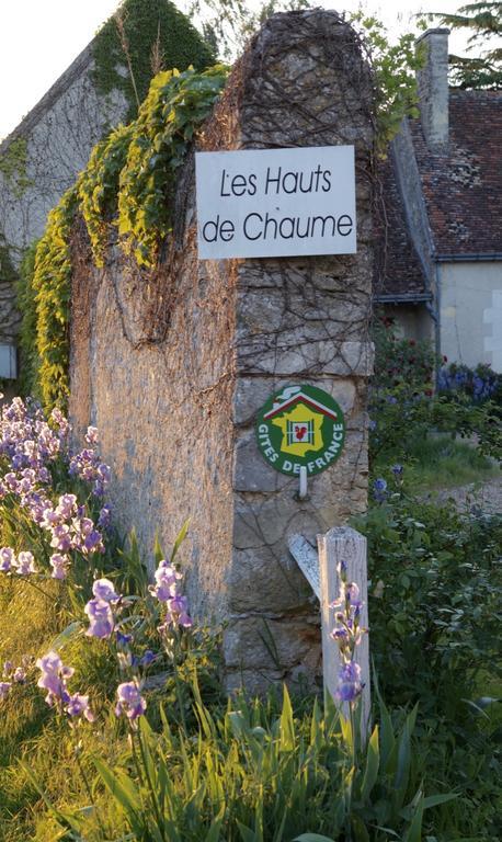 Les Hauts De Chaume Genille Exterior photo